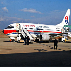 阆中古城空运公司-当日到达,轻松快捷